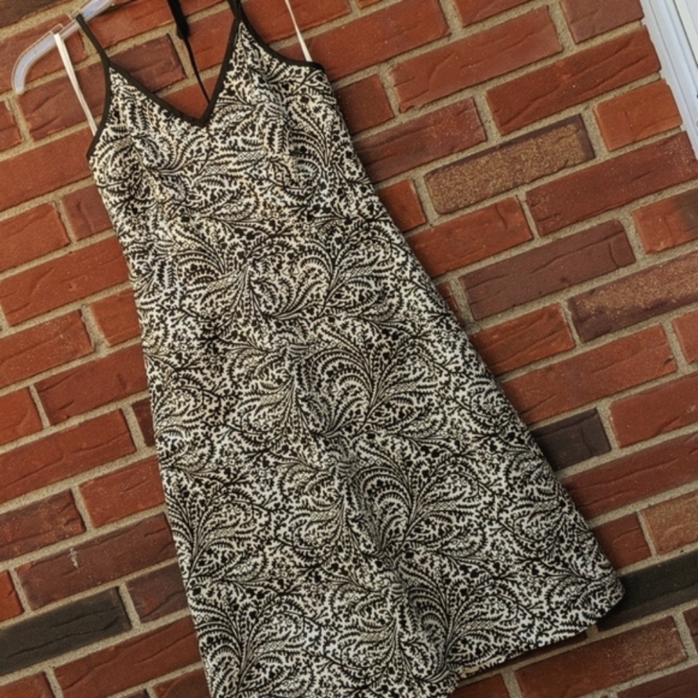 Ann Taylor dk brown and cream